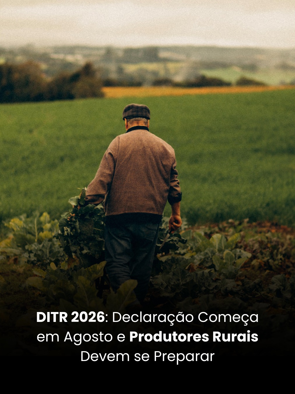 DITR 2026: Declaração Começa em Agosto e Produtores Rurais Devem se Preparar