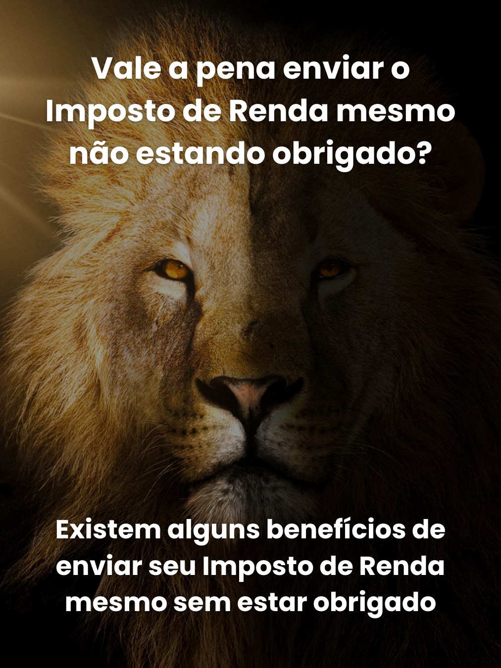 Vale a pena enviar o Imposto de Renda mesmo não estando obrigado?